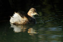 BUITEN BEELD Foto: 143421