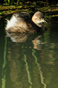BUITEN BEELD Foto: 143423