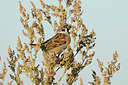 BUITEN BEELD Foto: 143440