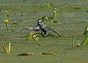 BUITEN BEELD Foto: 143447