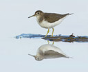 BUITEN BEELD Foto: 143543