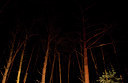 BUITEN BEELD Foto: 143574