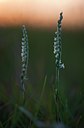 BUITEN BEELD Foto: 143604