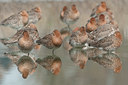 BUITEN BEELD Foto: 143617