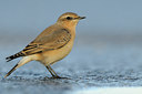 BUITEN BEELD Foto: 143630