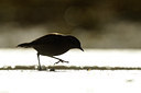 BUITEN BEELD Foto: 143634