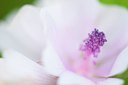 BUITEN BEELD Foto: 143658