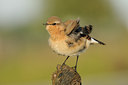 BUITEN BEELD Foto: 143683