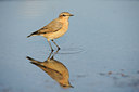BUITEN BEELD Foto: 143700