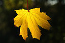 BUITEN BEELD Foto: 143704