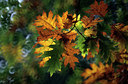 BUITEN BEELD Foto: 143744