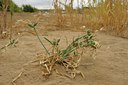 BUITEN BEELD Foto: 143764