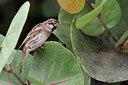 BUITEN BEELD Foto: 143788