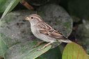 BUITEN BEELD Foto: 143804