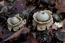 BUITEN BEELD Foto: 143817
