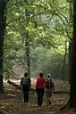 BUITEN BEELD Foto: 143859