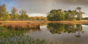 BUITEN BEELD Foto: 143880