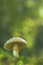 BUITEN BEELD Foto: 143898