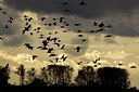 BUITEN BEELD Foto: 143957
