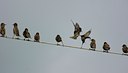 BUITEN BEELD Foto: 143962