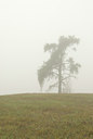 BUITEN BEELD Foto: 143967