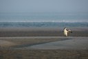 BUITEN BEELD Foto: 143974