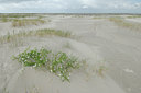 BUITEN BEELD Foto: 144002
