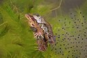 BUITEN BEELD Foto: 144060
