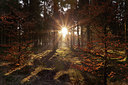 BUITEN BEELD Foto: 144088