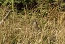 BUITEN BEELD Foto: 144190