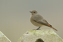 BUITEN BEELD Foto: 144217