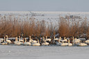 BUITEN BEELD Foto: 144253