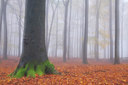 BUITEN BEELD Foto: 144518