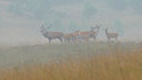 BUITEN BEELD Foto: 144581