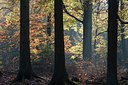 BUITEN BEELD Foto: 144707
