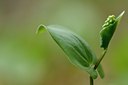 BUITEN BEELD Foto: 144730