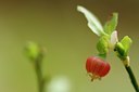 BUITEN BEELD Foto: 144732