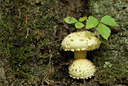 BUITEN BEELD Foto: 144742