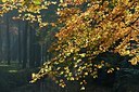 BUITEN BEELD Foto: 144754
