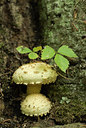 BUITEN BEELD Foto: 144824