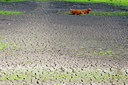 BUITEN BEELD Foto: 144886