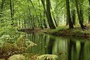 BUITEN BEELD Foto: 145101