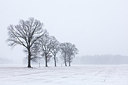 BUITEN BEELD Foto: 145160