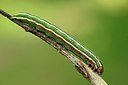 BUITEN BEELD Foto: 145178