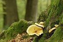 BUITEN BEELD Foto: 145220
