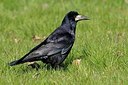 BUITEN BEELD Foto: 145299