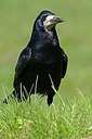 BUITEN BEELD Foto: 145304