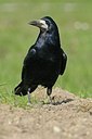 BUITEN BEELD Foto: 145305
