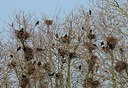 BUITEN BEELD Foto: 145308
