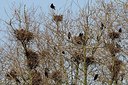 BUITEN BEELD Foto: 145310